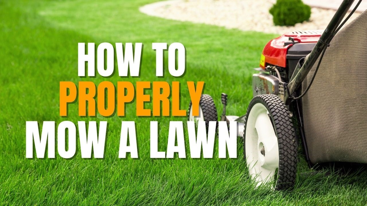 How to Properly Mow Your Lawn | For Cool Season Grasses Like Bluegrass and Fescue