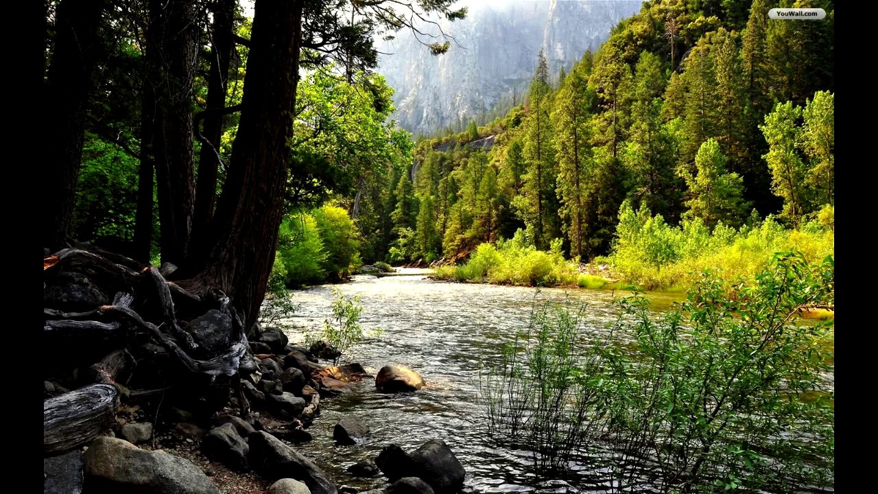 سورة القصص كاملة ادريس ابكر   Surah Al Qasas Idrees abkar