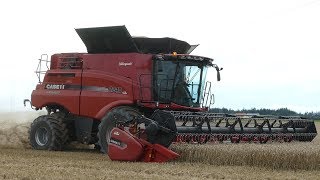 Case Ih 8240 Axial-Flow Working Hard In The Field Harvesting Wheat Harvest Danish Agriculture