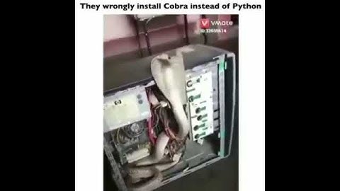 Someone mistakenly installed Cobra instead of Python | کسی بطور اشتباهی بجای پایتون کوبرا را نصب کرد