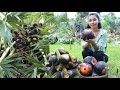Palm tree in my village - How to make traditional cake in Cambodia