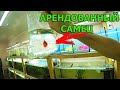 Взял в аренду красного самца