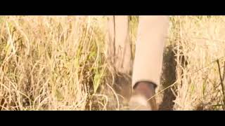 638-639 Esplanade, Urangan QLD