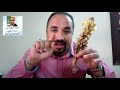 هالوك ذانون مدمر لنباتات كيف تقضى علية Orobanche حلقة 177 