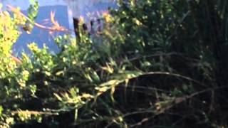 The Tunnel trailer