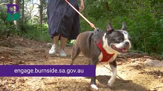 Dog's on lead to protect wildlife