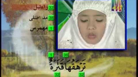 AL QURAN JUZ AMMA / JUZ 30, 38 Surat - Wafiq Azizah