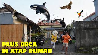 ORCA WHALE COME OUT OF THE ROOF OF UPLIN'S HOUSE?!