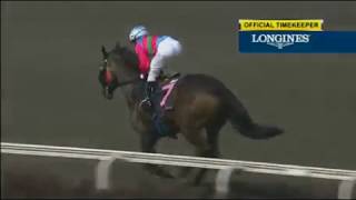 Singapore 20171027 Race 1 DAYUAN