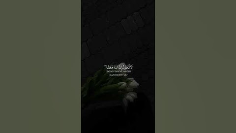 إِلَّا تَنصُرُوهُ فَقَدْ نَصَرَهُ اللَّهُ#قران #اللهم_صل_وسلم_على_نبينا_محمد #تلاوة_هادئة #رمضان