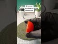 plat gratuite