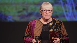 Conserving a Disposition for Wonder | Kathleen Forsythe | TEDxLangleyED