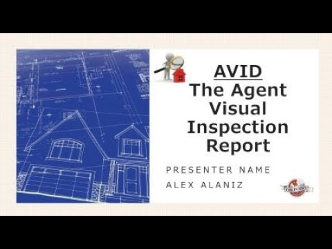 41 The Agent Visual inspection report - YouTube