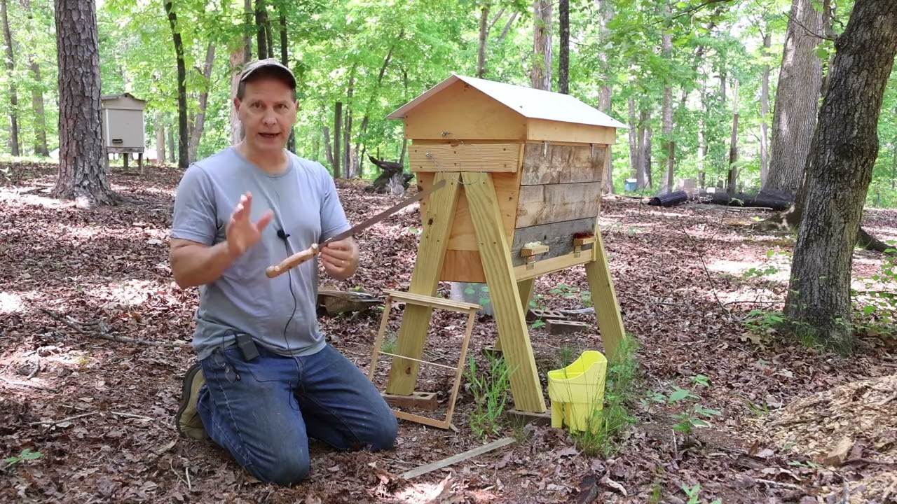 Top Bar Hive 1 of 3 2025