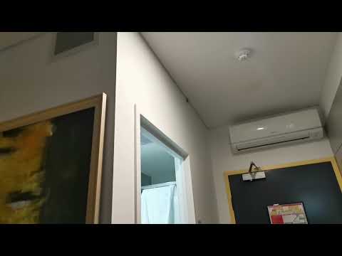 Huntsman spider in a hotel room in Sydney, Australia