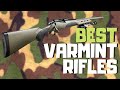 Best Varmint Rifle [2020] | Top 9 Varmint Rifles For The Money