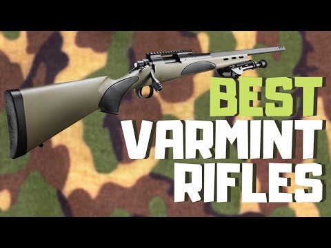 Best Varmint Rifle [2020] | Top 9 Varmint Rifles For The Money