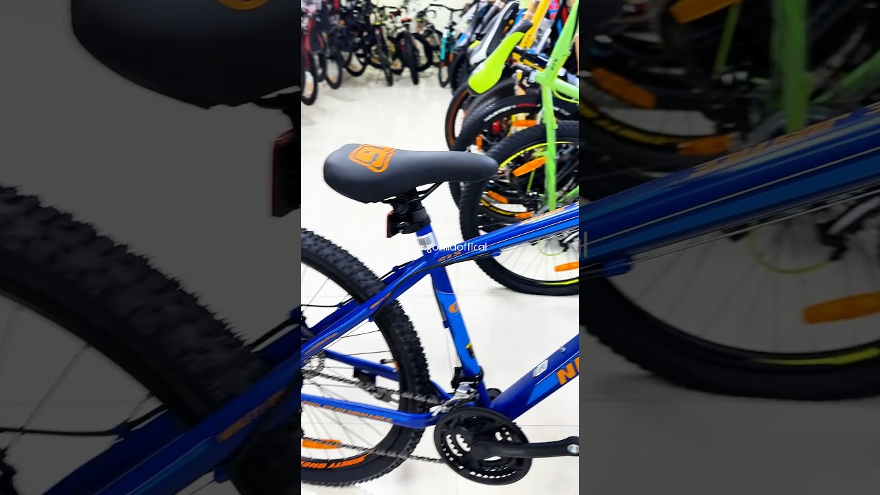 Ninety One Krypton | 