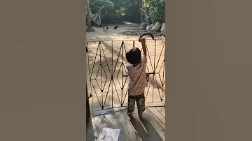 Baby Close Door 