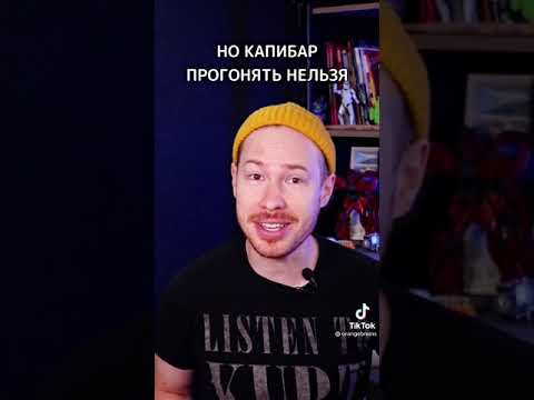 Ужас! Копибары захватили город! Смотри, что произошло
