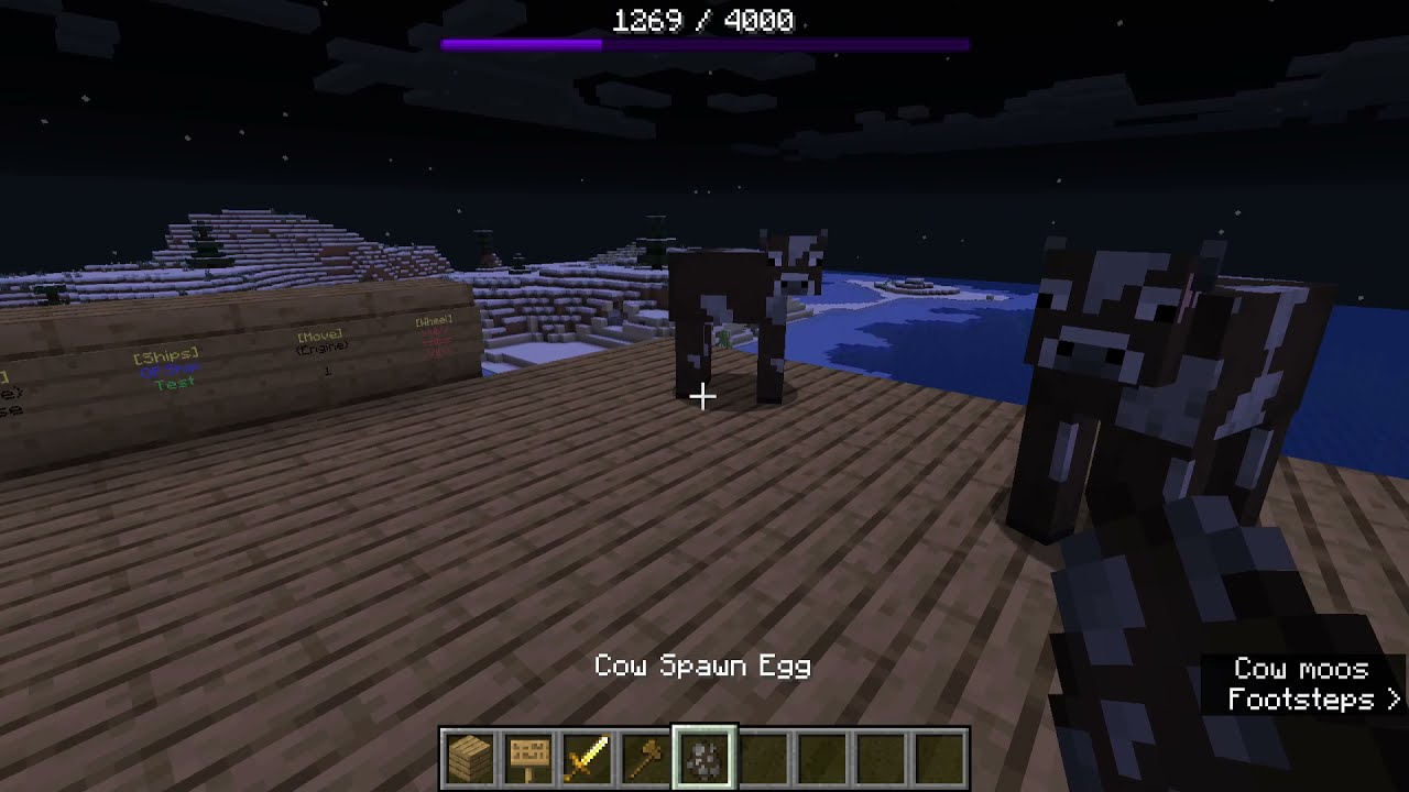 Ships 6 Beta 11 pre release