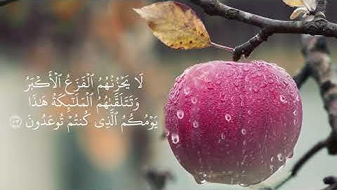 ايات من سورة الانبياء | بصوت القارئ يوسف سيد ابراهيم | محافظة بنى سويف