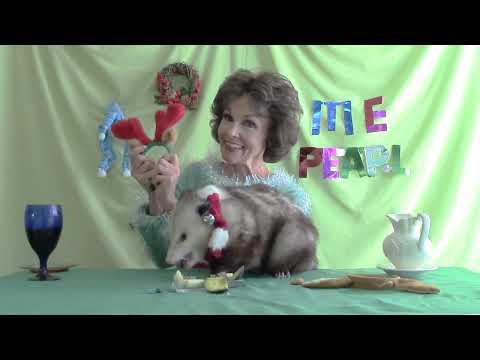 Proper Possum Holiday Psychology