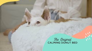 The Original Calming Donut Bed | Best Friends by Sheri