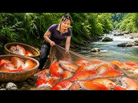 Catching Giant Fish from the Pond to Sell | Cooking a Warm Family Meal with My Little Daughter