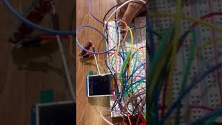 EE 319K Lab 10 Embedded System Design: Greedy Snake