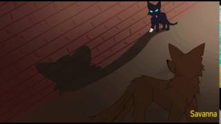 Warriors Scourge - MAP AMV - part 9