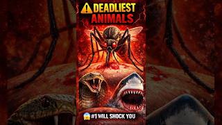 You Won’t Believe the Deadliest Animal on Earth 🦟