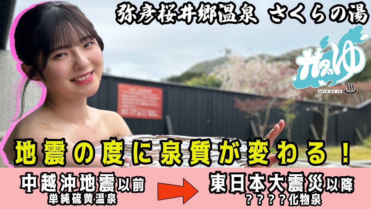 もはや住みたいレベルの日帰り温泉　弥彦桜井郷温泉　さくらの湯