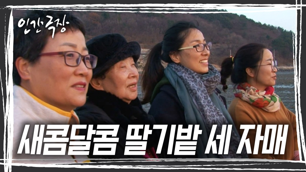 딸기밭에서 봄을 맞는 소 씨네 세 자매. 언니가 유방암 판정을 받자, 언니 곁에 있어야 한다며 막내동생 미숙 씨까지 내려오면서 세 자매가 뭉치게 됐다. [인간극장] KBS 방송