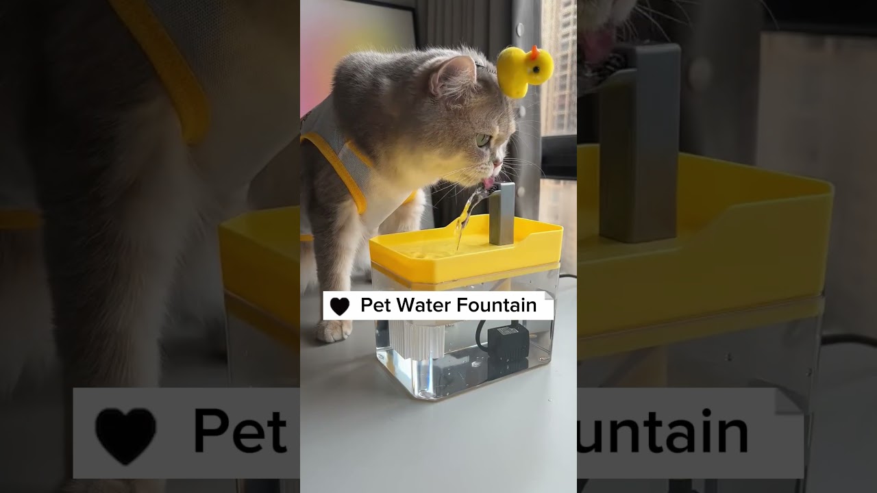 Pet Water fountain 