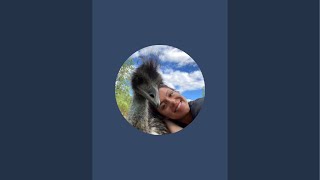 A Very Useless Christmas