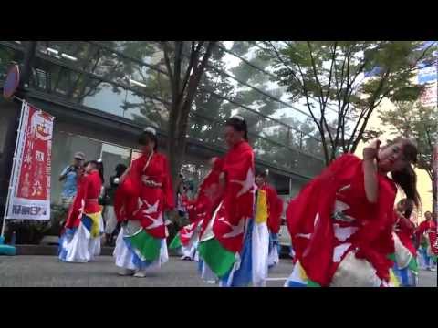 疾風乱舞さん／アリーナ通り・南／新横黒船祭2011