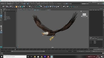 Bird Rig Demo