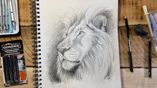 LIVE session🔥Full Process for Drawing Better