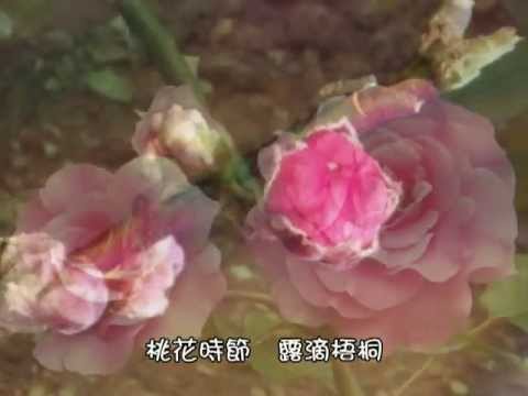 蔡幸娟 魂縈舊夢
