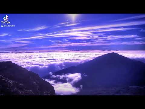 كل رجع برجع بك إلى الوراء إلا رجوع إلى الله تب وستخطي ثم رجع تب