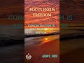 Focus Feeds Freedom