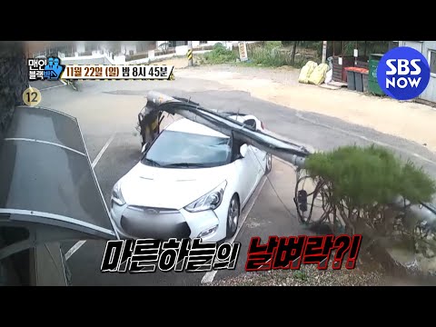 높이제한 사고&amp;#39; / &amp;#39;<strong>Men</strong> in Blackbox&amp;#39; Preview | <strong>SBS</strong> NOW