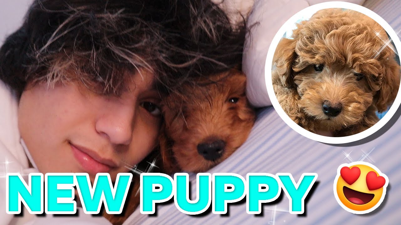 День из жизни со мной и ребятами из Нью-Джерси