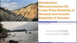Introductory Microeconomics 25: Cross-Price Elasticity of Demand and Income Elasticity of Demand