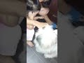 precious moment