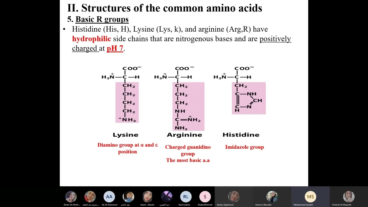 Biochemistry 1 – Lecture 3: Basic & Acidic Amino Acids, Ionization