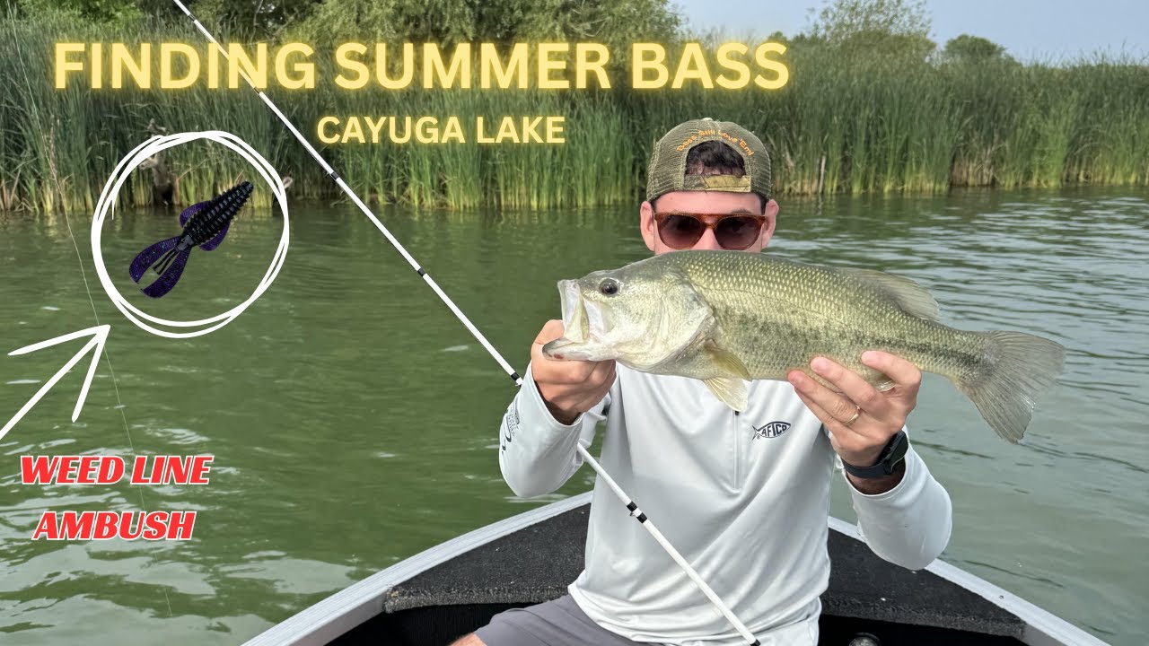 HOT SUMMER Bass Fishing – Shallow vs Deep Water – Cayuga Lake, NY