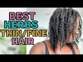 Top 5 Ayurvedic Herbs For Thin fine Natural Hair || Adede