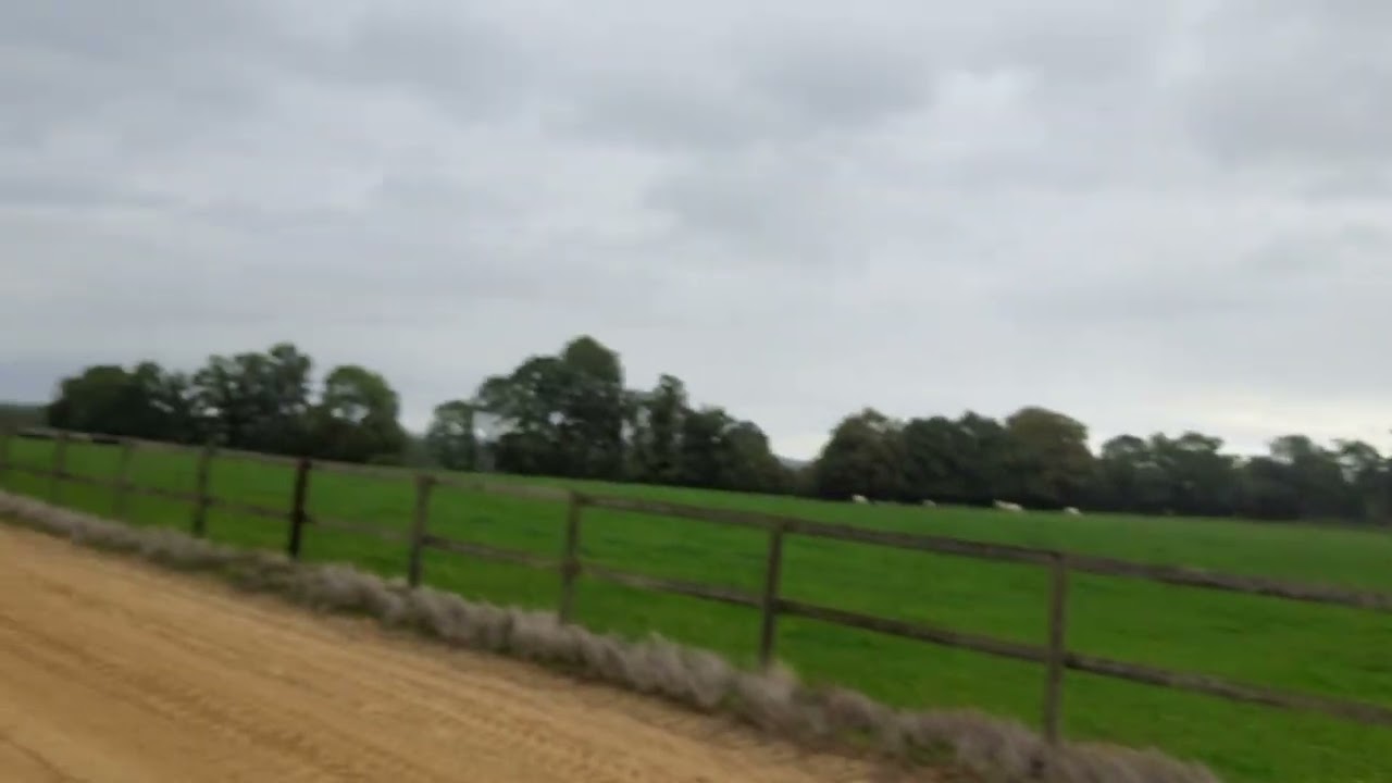 France 🇫🇷 Horse racing industry 05/10/2022